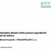 Problematika těsnění trhlin pomocí speciálních přísad do betonu / Ing. Michal Kropáček / Pragoprojekt.ppt